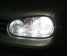 Scheinwerferlampen-Pack mit Xenon-Effekt für Volkswagen Golf 4