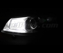 Standlicht-Pack Xenon-Effekt-Weiß für Renault Vel Satis