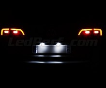LED-Pack (Weiß 6000K) für Heck-Kennzeichen des Volkswagen Touran V3