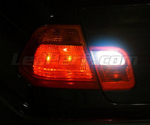 LED-Pack (reines Weiß 6000K) für Rückfahrleuchten des BMW Serie 3 (E46)