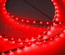 Band, flexibel, Standard mit einer Länge von 50 cm ( 30 LEDs SMD ) rot