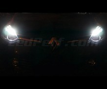 Standlicht-Pack Xenon-Effekt-Weiß für Renault Clio 4