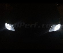 Standlicht-Pack Xenon-Effekt-Weiß für Lancia Ypsilon