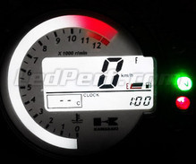 LED-Zähler-Kit - Typ 4 - für Kawasaki Kawasaki Z750 (2004 - 2006) Mod.
 2003-2006.