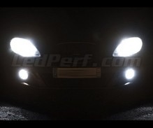 Scheinwerferlampen-Pack mit Xenon-Effekt für Seat Leon 2 (1P) / Altea