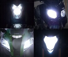 Scheinwerferlampen-Pack mit Xenon-Effekt für Indian Motorcycle Chief blackhawk / dark horse / bomber 1720 (2010 - 2013)
