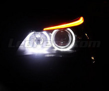 Pack LED-Angel-Eyes für BMW Serie 5 (E60 61) Phase 1 - Mit Original-Xenon - Standard