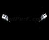 Scheinwerferlampen-Pack mit Xenon-Effekt für Hyundai Genesis