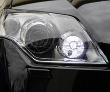 LED-Tagfahrlicht-Pack (Xenon-Weiß) für Renault Laguna 3