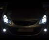 Scheinwerferlampen-Pack mit Xenon-Effekt für Opel Corsa D
